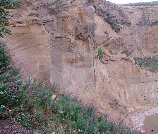 Description: Description: Description: C:\Users\John\Desktop\northern-england-geology\geoltour\permian\field-house-farm-durham.png