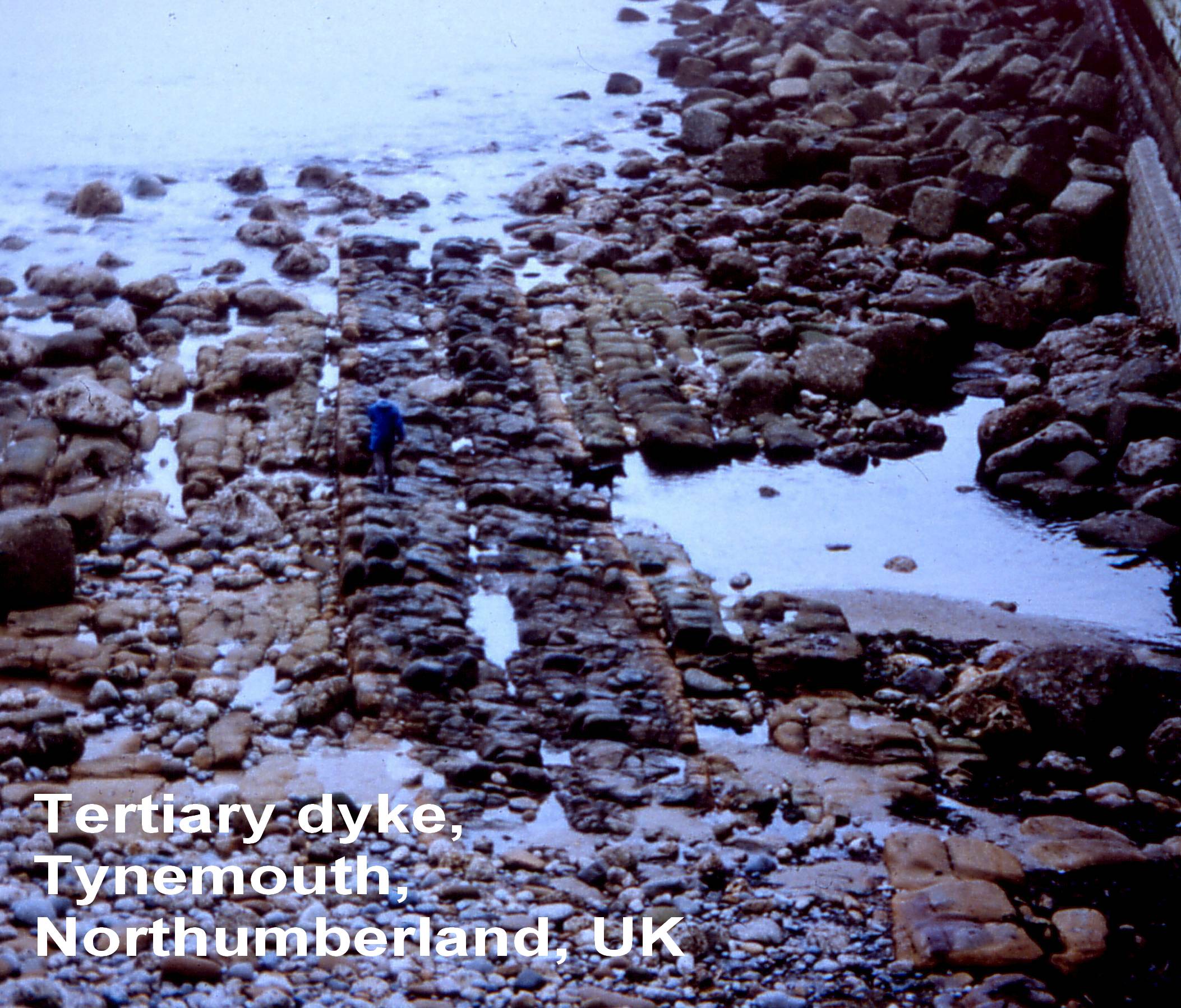 Description: Description: Description: Description: Tynemouth tertiary dyke