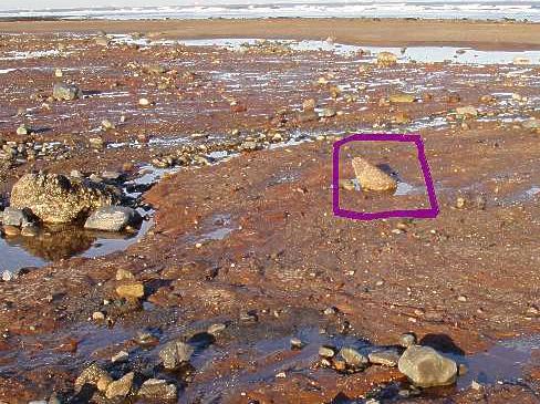 Description: Description: Description: Description: C:\Users\John\Desktop\northern-england-geology\geoltour\quaternary_1\shaperratic-marske2.jpg